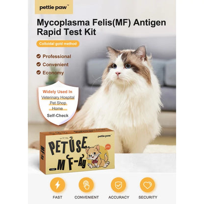 Mycoplasma felis (Augen- und obere Atemwegsinfektion) Antigen-Schnelltest für Katzen (1 Stück/Box)